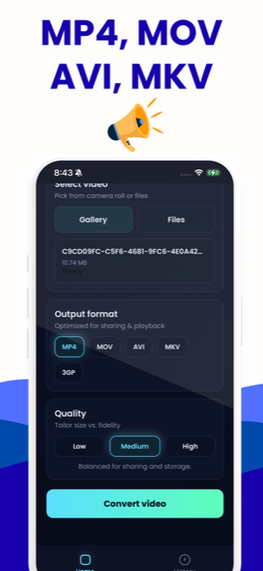 The Video Converter app's output format and quality controls
